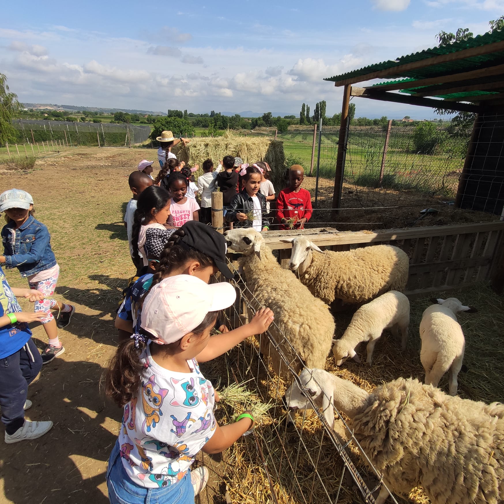 16451476-0e5a-4df6-9684-630c39c19044