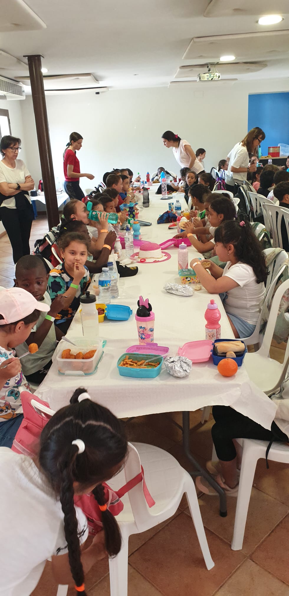 3c41d8fd-6adf-4ac1-919e-8d124ca3c9ef