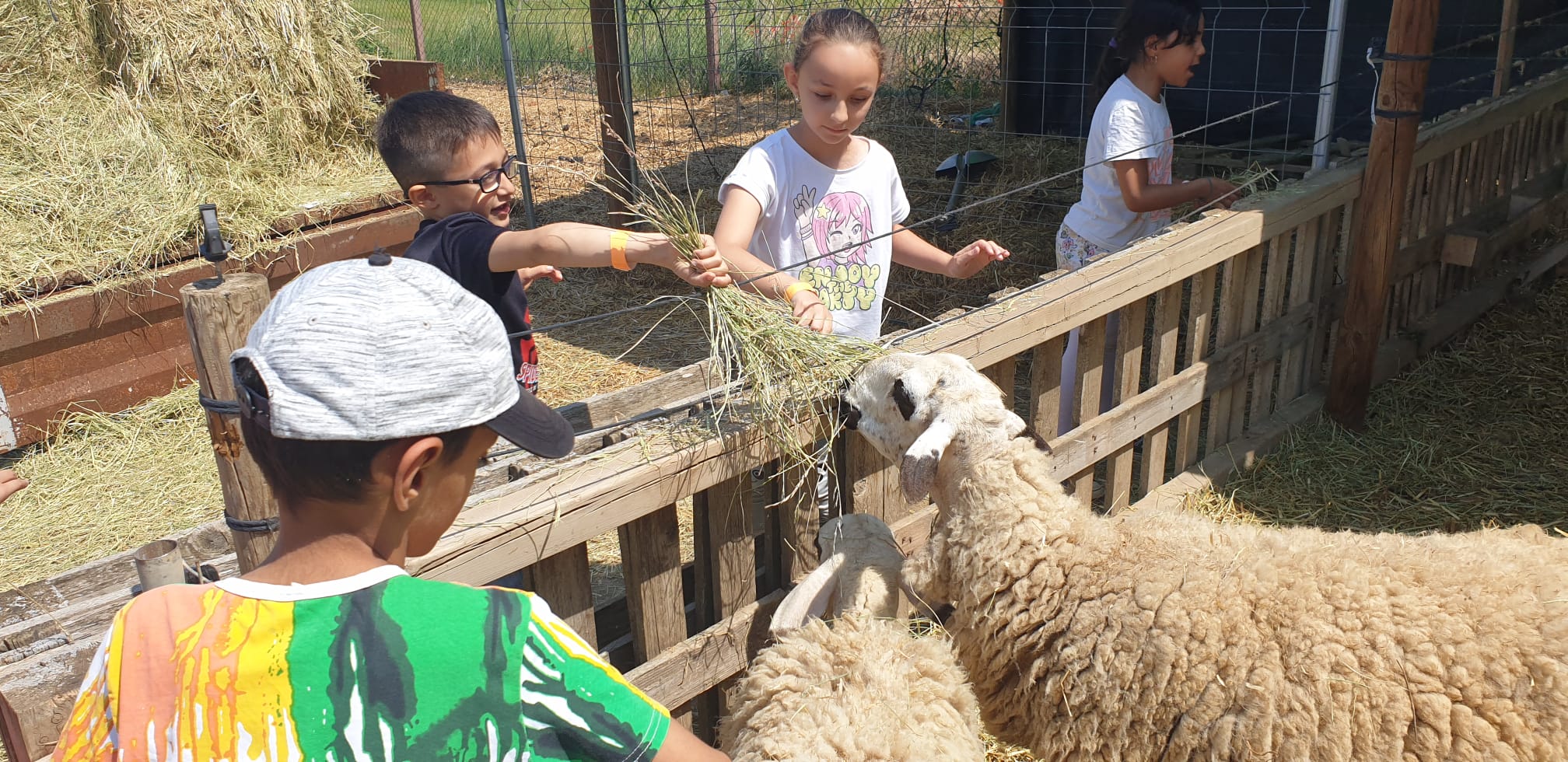 67141d81-bb0d-4af9-a8b8-7202334cf28a