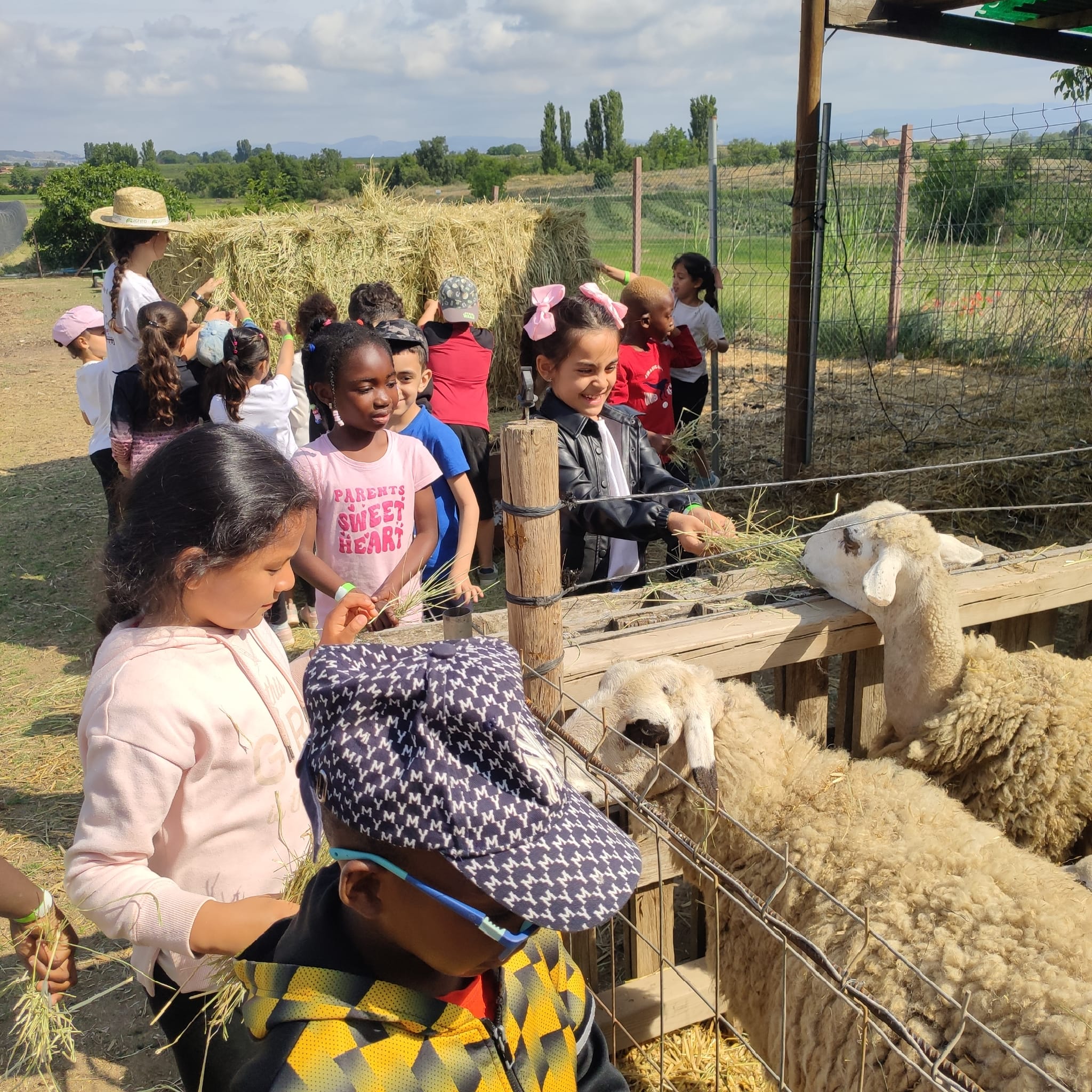 7f5ec904-aad5-4c0c-a172-81ca773ad1a0