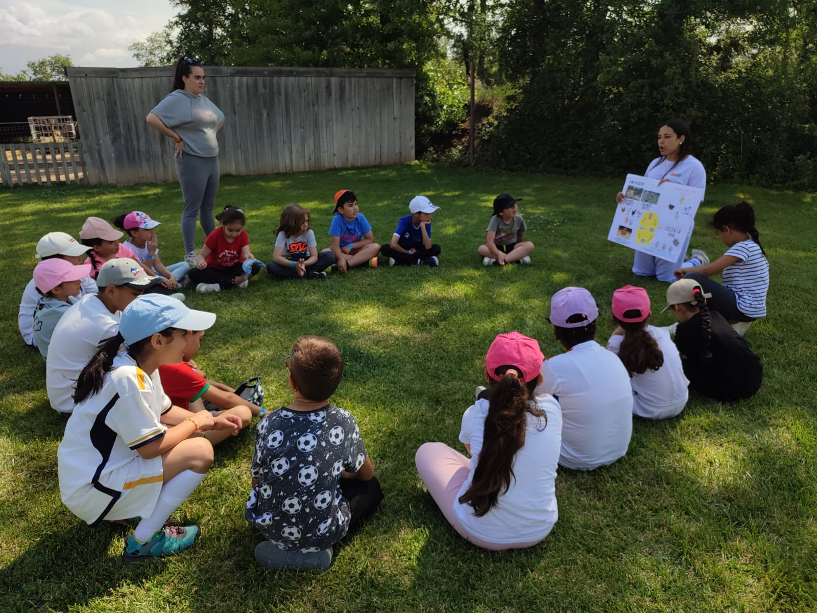 80db2bc3-d8fc-4c27-bff9-4c2744d34b3f