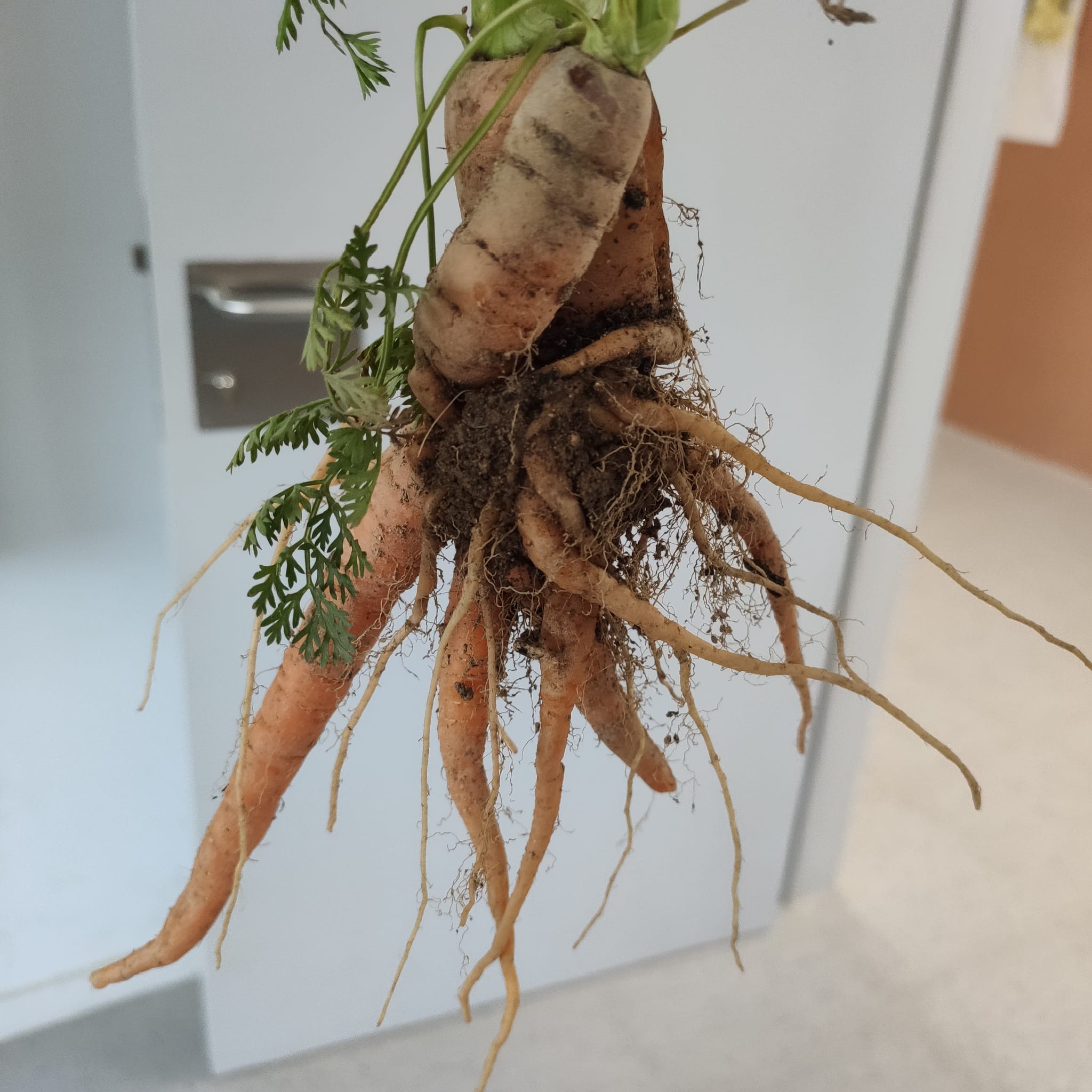 94548ab5-e040-4014-8c33-5b1ac043bd8c