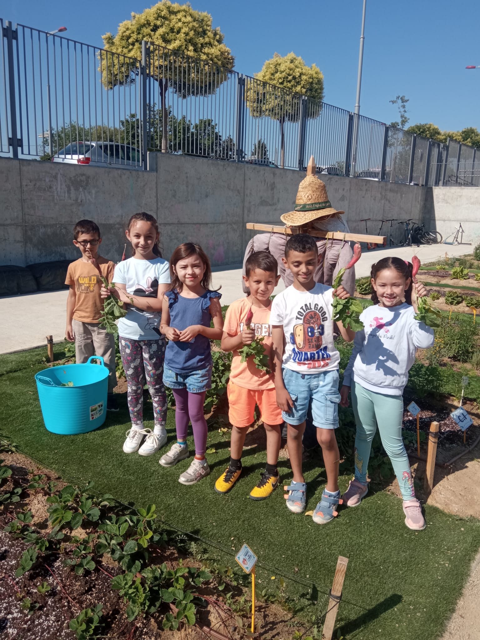 9bf7f361-0654-408e-ac69-b2d201cc169d