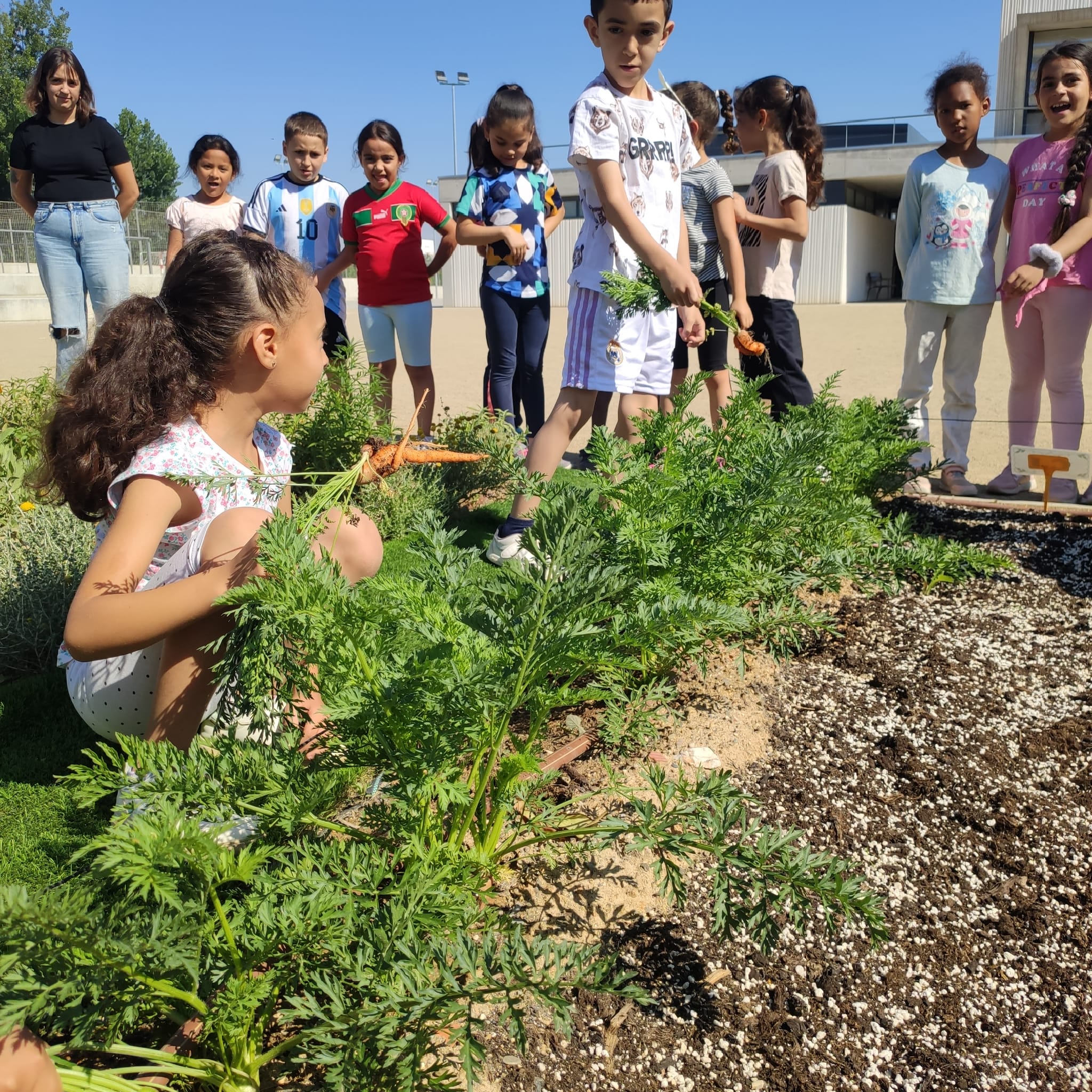 c97be887-8630-41e0-9833-ea0089d716a9