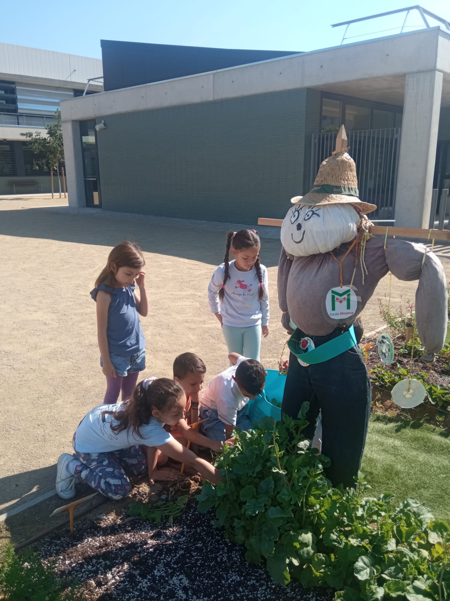 ddad82f6-09e0-4477-b854-9bdedd1a2755