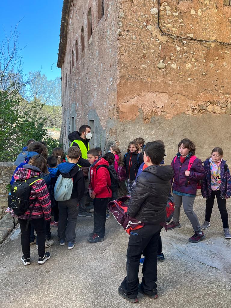 WhatsApp Image 2022-04-06 at 18.00.23 (1)