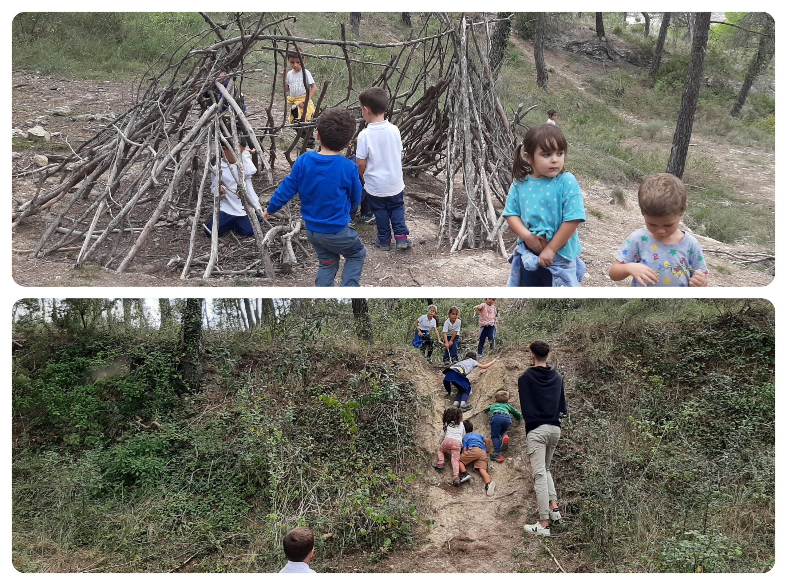 1a sortida al bosc, 1