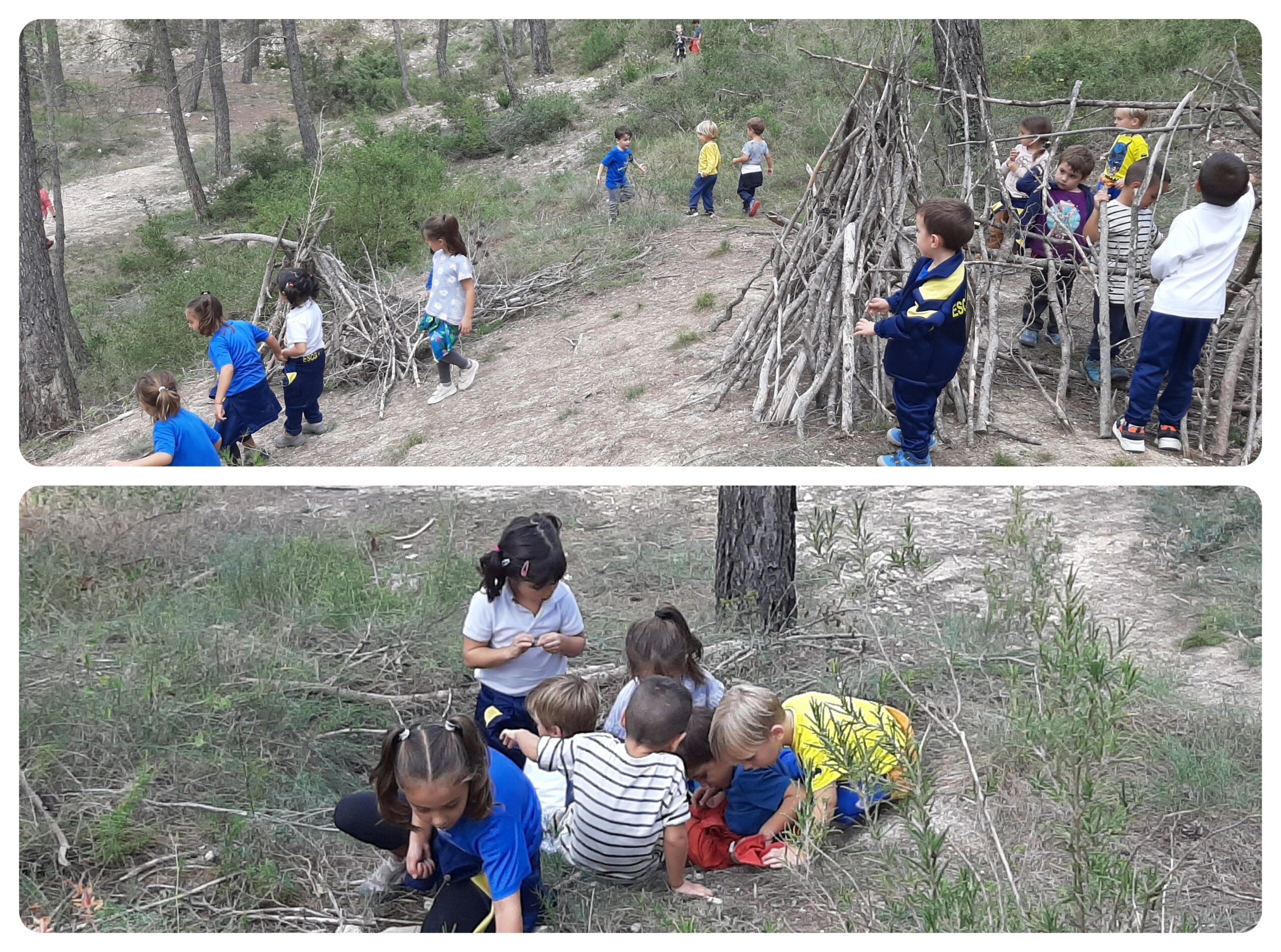 1a sortida al bosc, 2