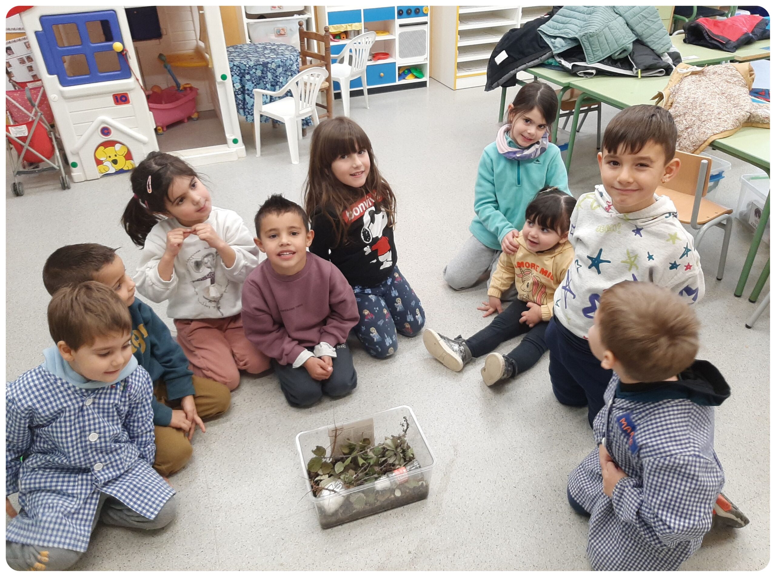 insectes pal tallers 1