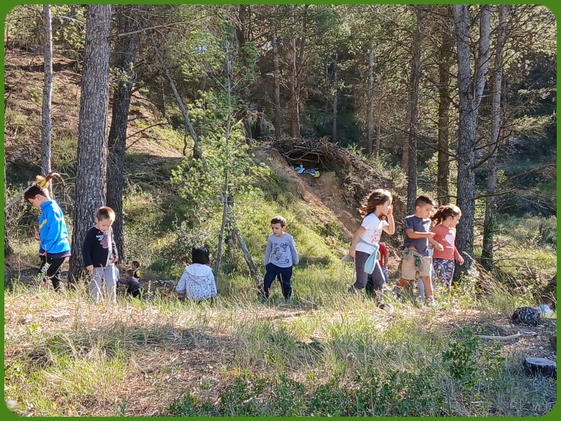 befunky_2024-9-1_16-42-20