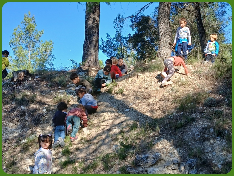 befunky_2024-9-1_16-42-32