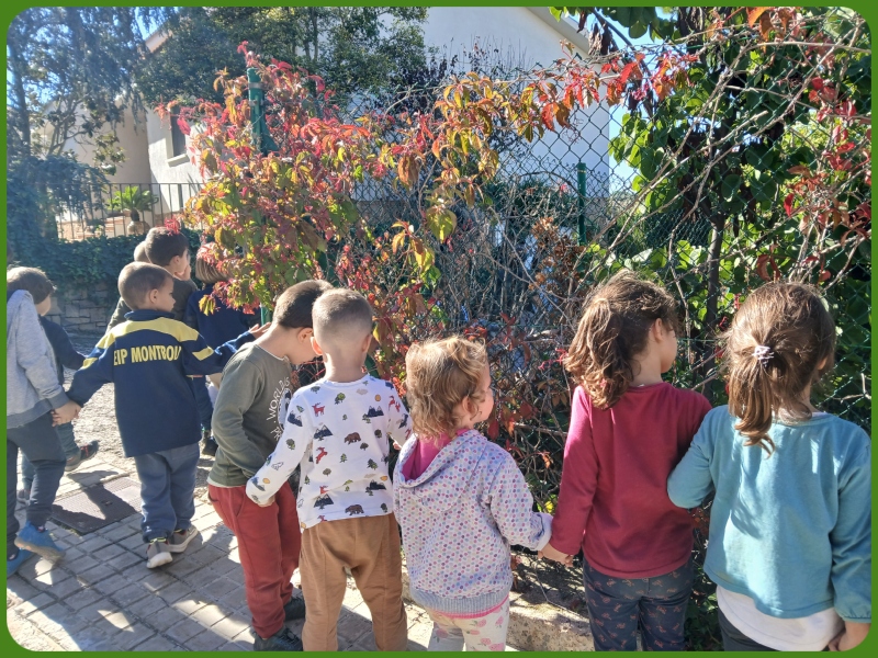 befunky_2024-9-1_16-43-50