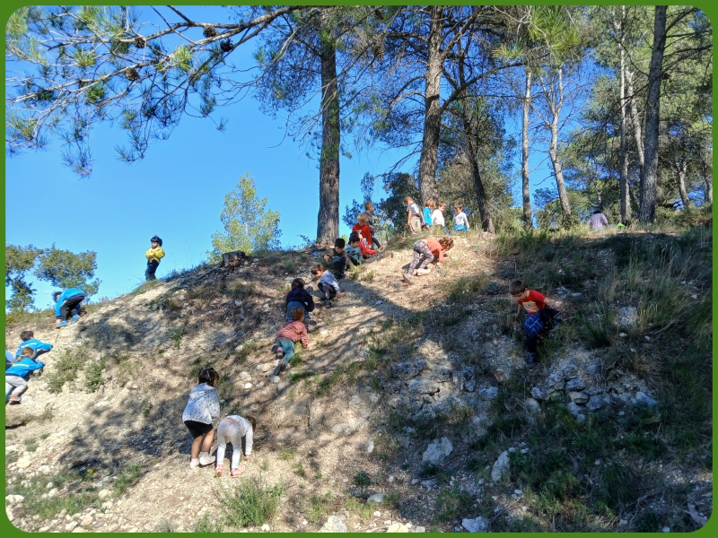 befunky_2024-9-1_16-50-54