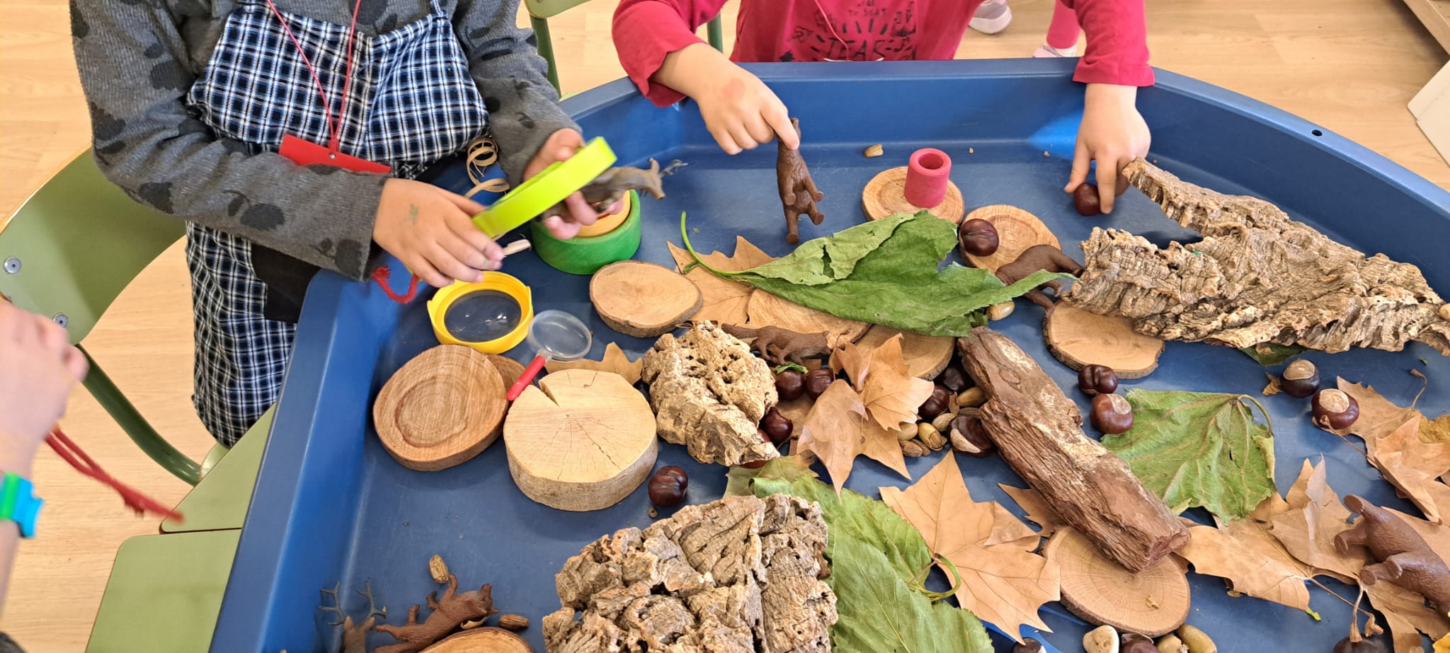 Foto de Núria 😃😉 (13)