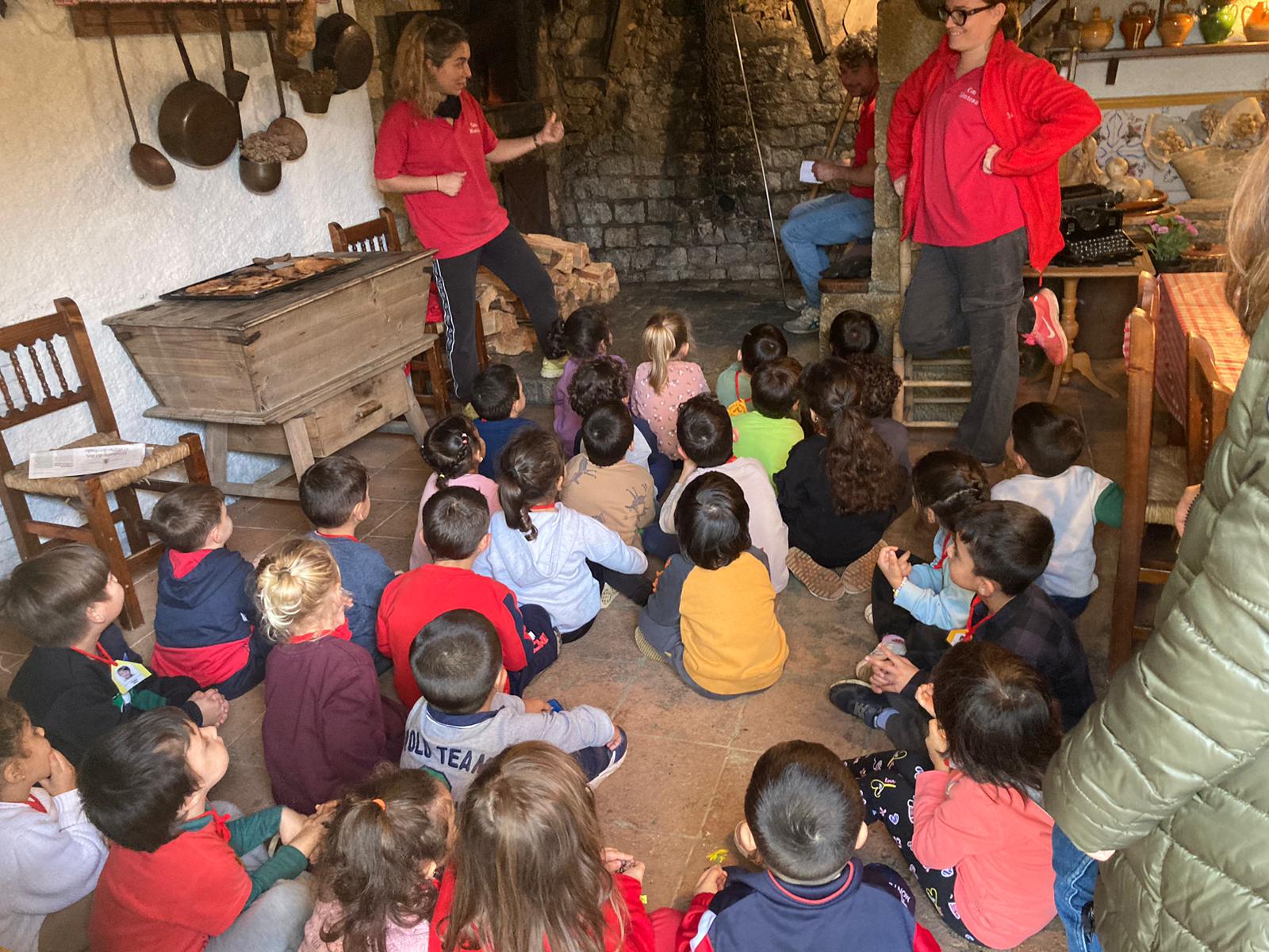 WhatsApp Image 2024-11-25 at 19.19.50