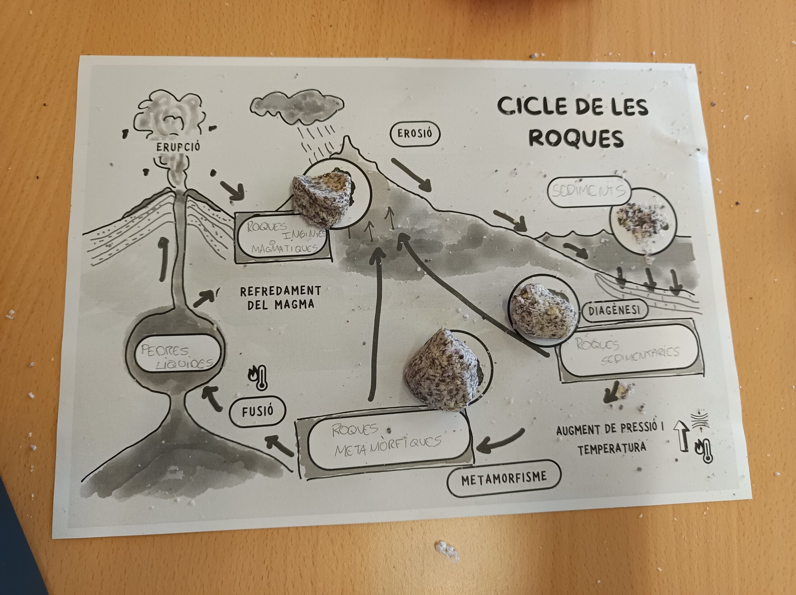 IMG_20250120_155925-min