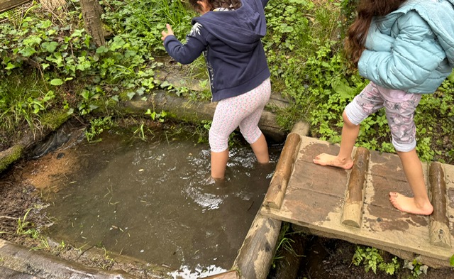 02d15736-762e-4b1f-bcf5-0ae0161b1e32