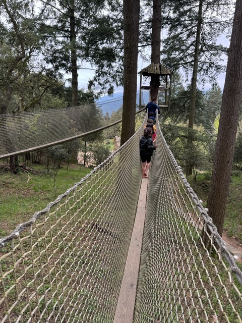 524d7d36-30c9-4532-ad58-e9f3250b61a6