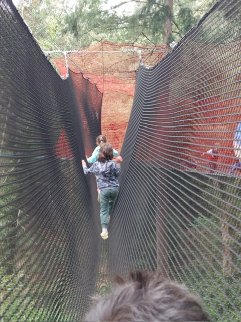 72971456-a3b1-480f-b600-0a7d92f24c7e