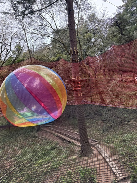 8355d72a-b5b0-43b1-9e86-14ce8db558c0