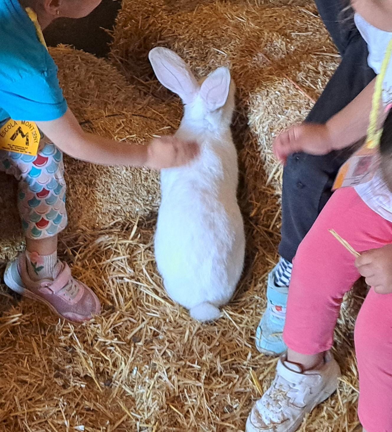 Foto de Núria 😃😉 (64)