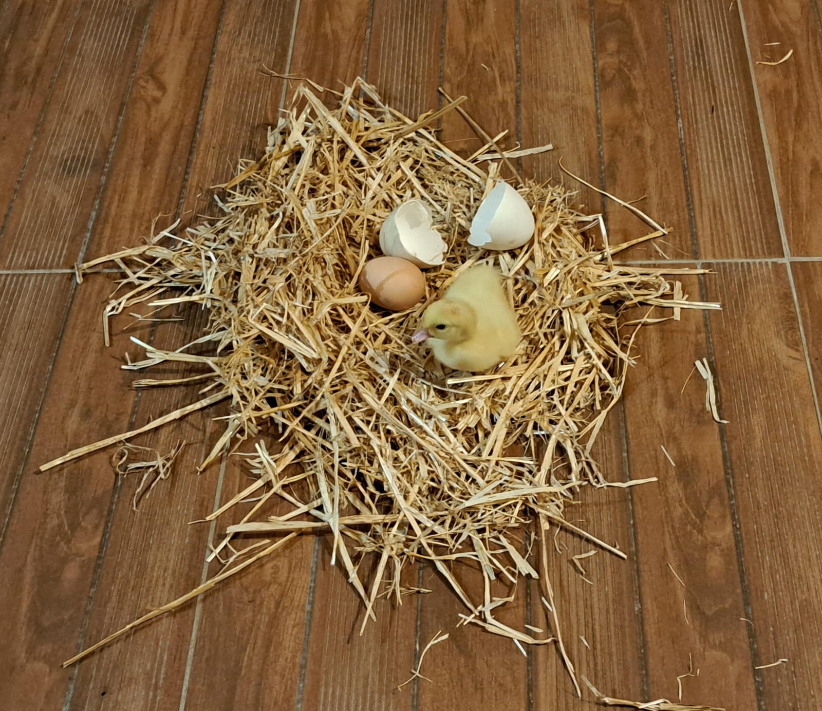 Foto de Núria 😃😉 (65)