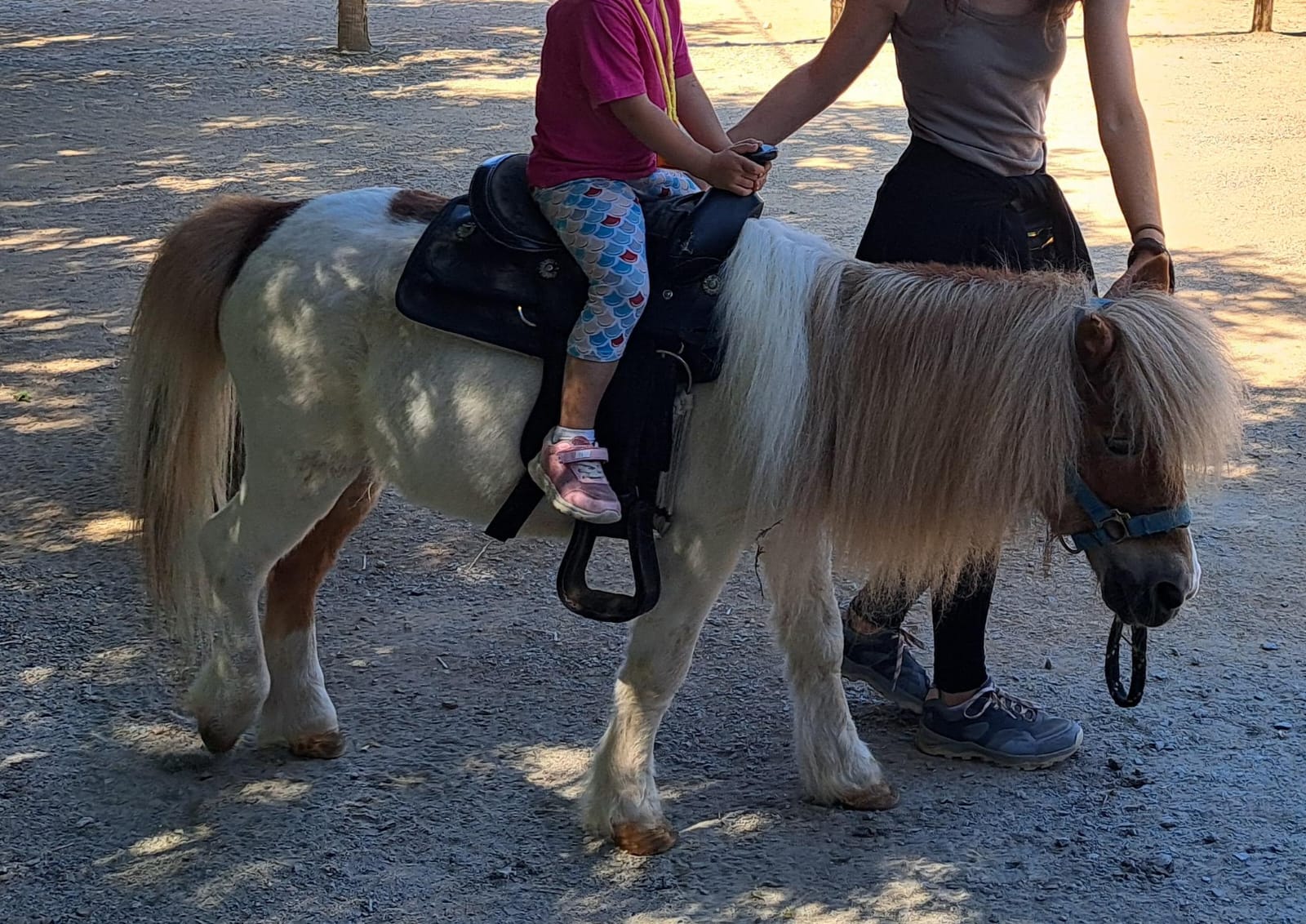 Foto de Núria 😃😉 (66)