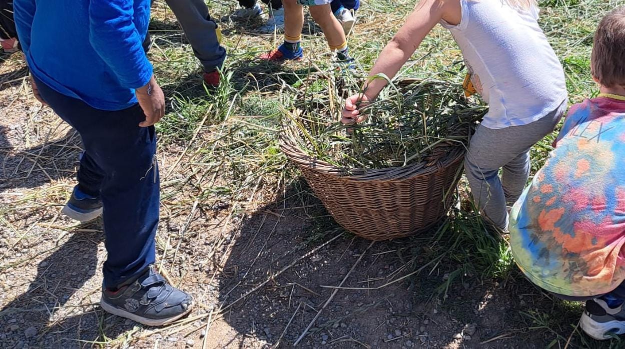 Foto de Núria 😃😉 (67)