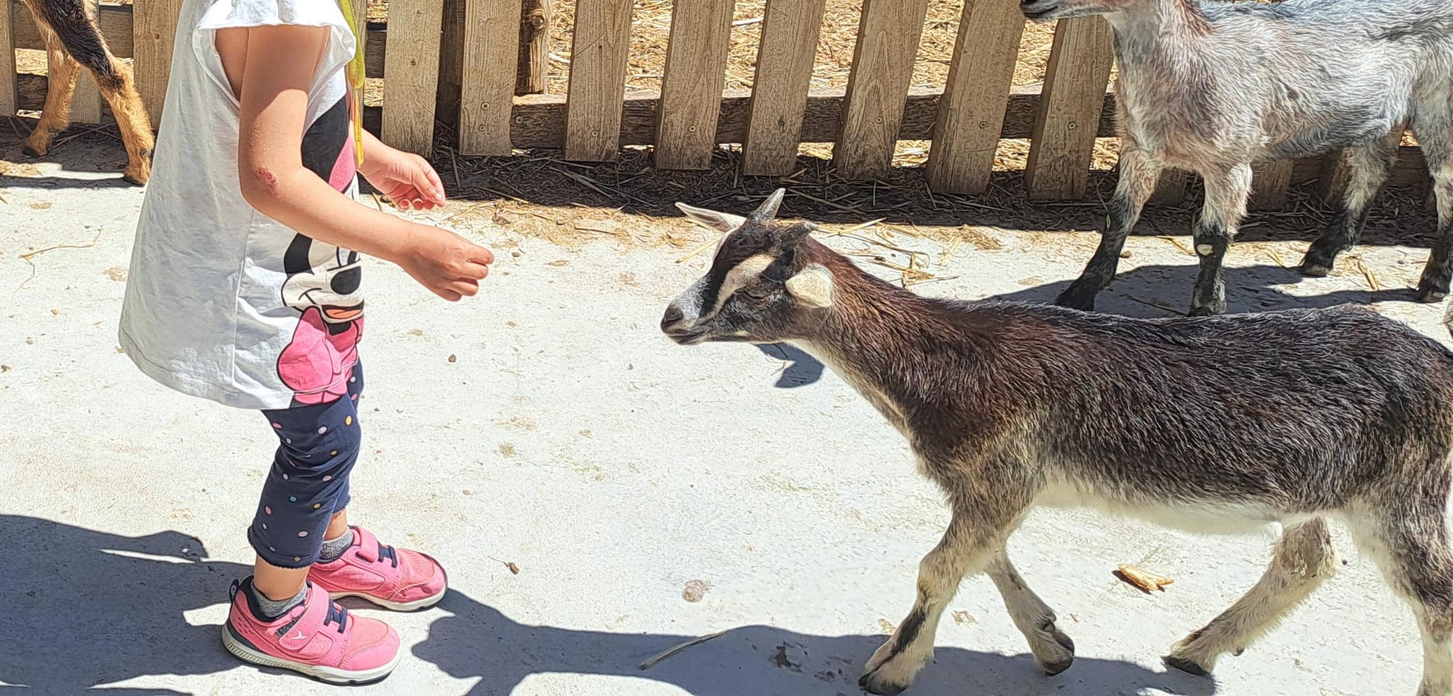 Foto de Núria 😃😉 (69)