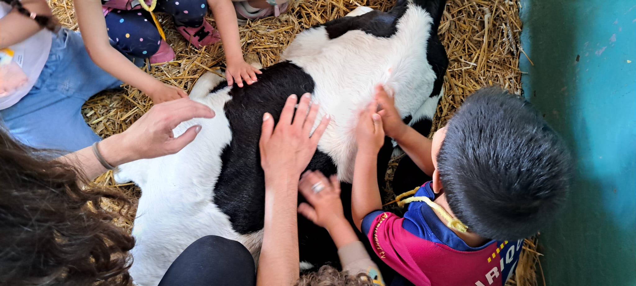 Foto de Núria 😃😉 (70)