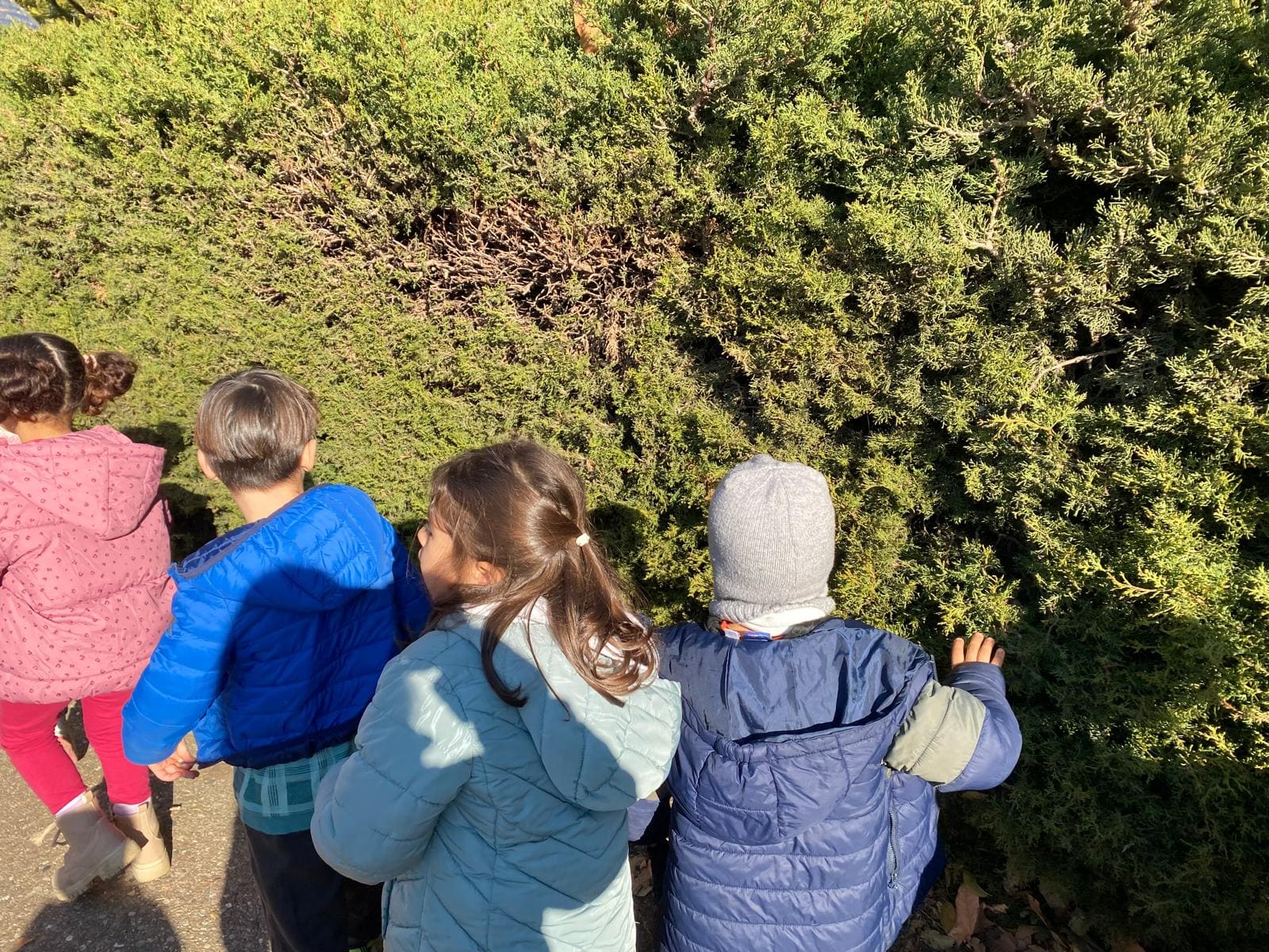 PHOTO-2025-12-27-20-13-13 (2)