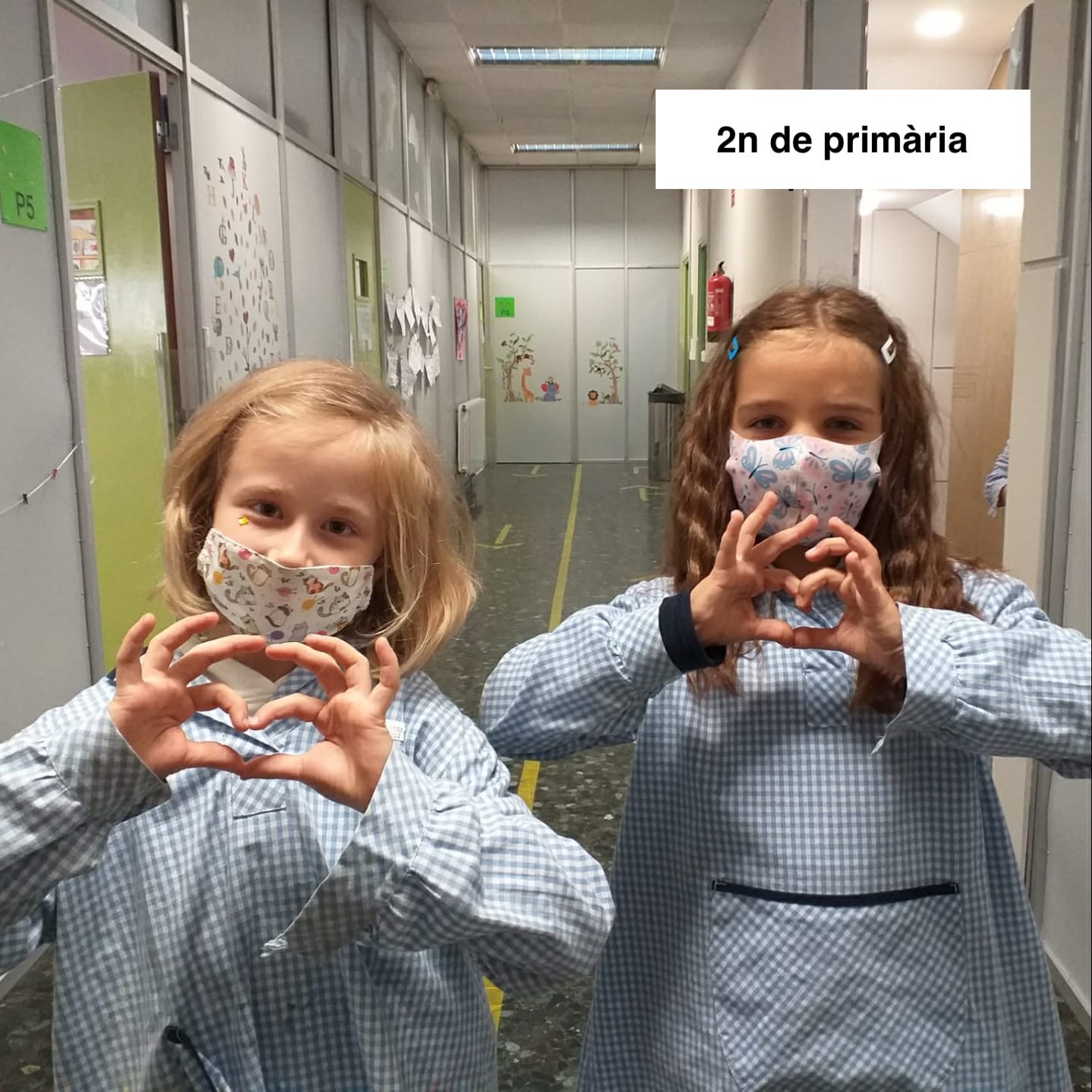 2n de primària