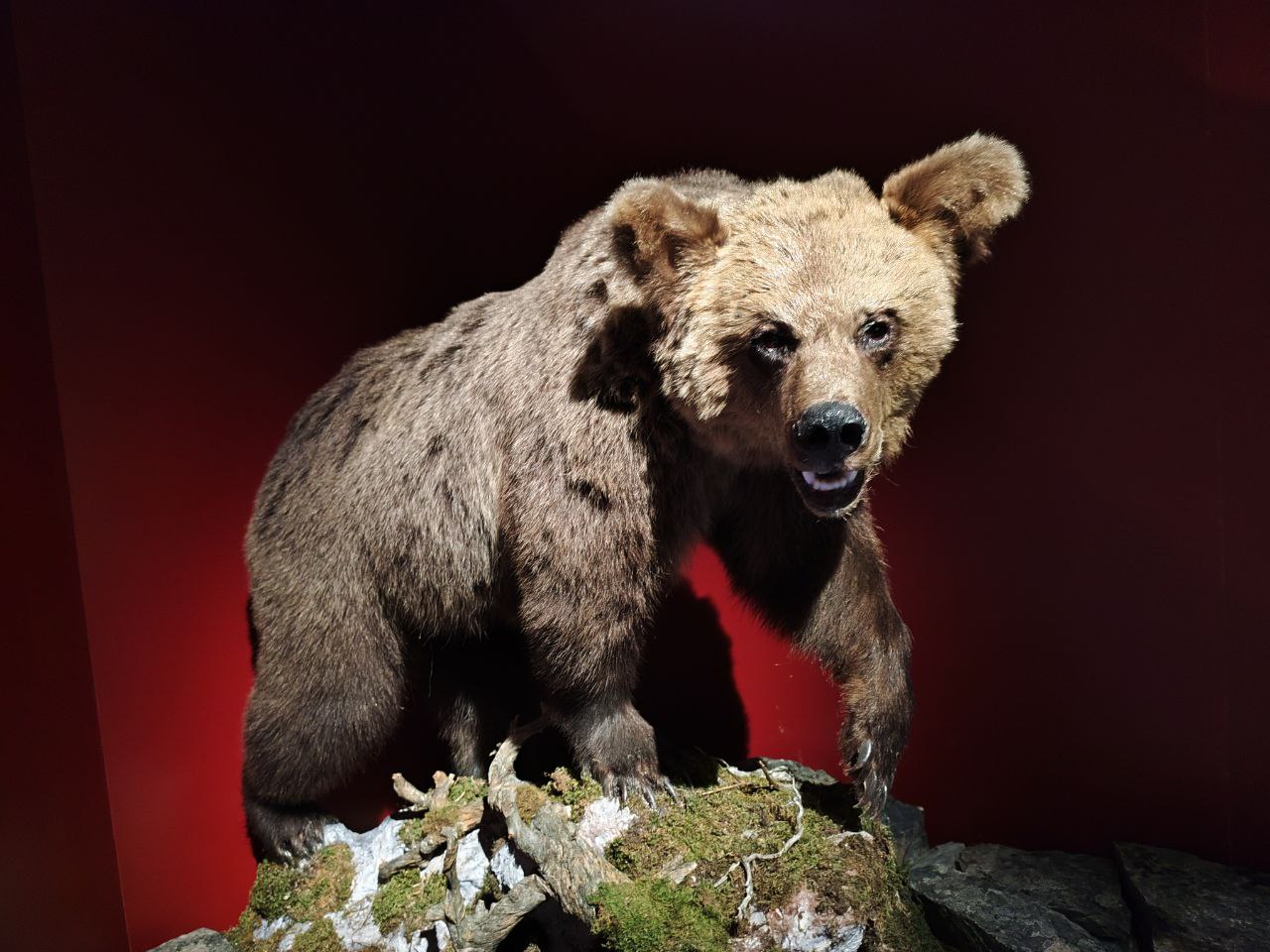 Erasmus+ Dilluns 5/5/25