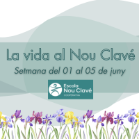 Portada LVANC 29