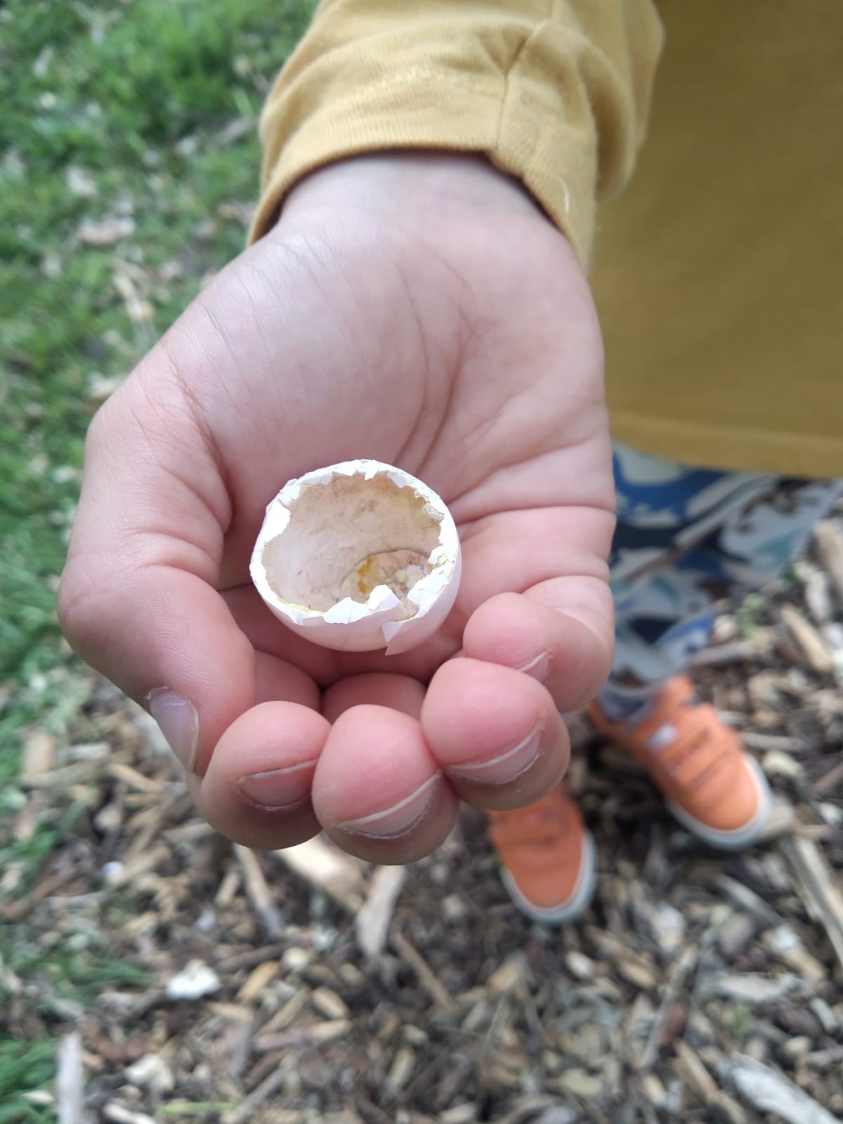 905ca907-01ed-40f1-885d-0746e1f2d99c