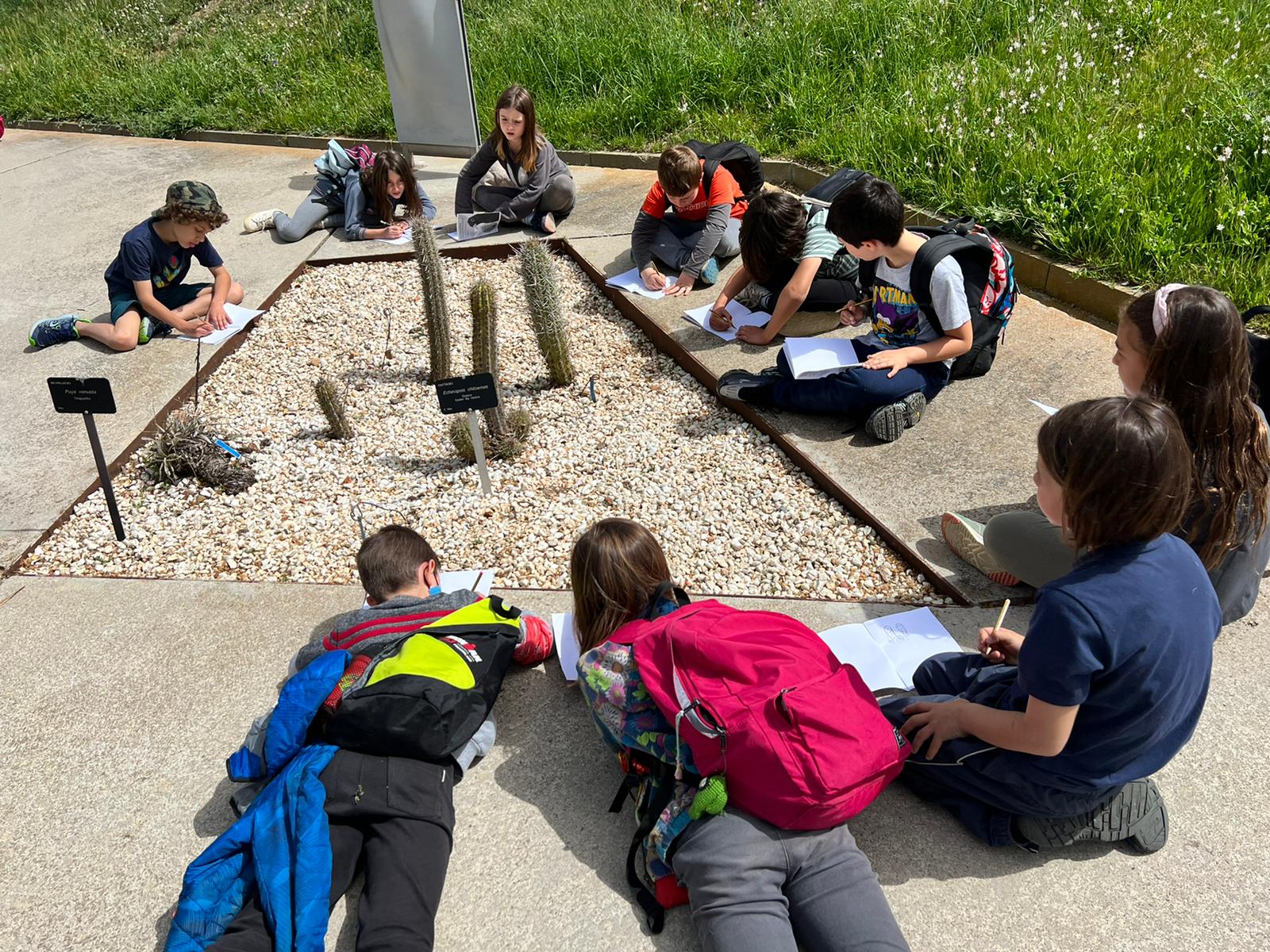 9c0de946-25c5-4442-8d59-fdeb2b8ed25d