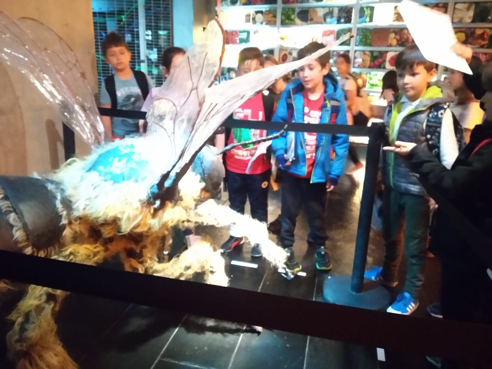 a53adb26-5736-4d5d-a0a5-ebd4555749f3