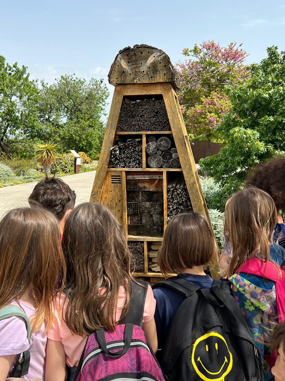 c14d2c2c-6e94-4aa7-82ea-6ab638424432