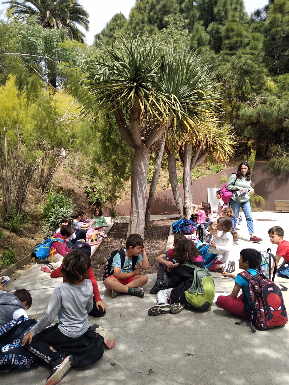 c4e82209-1a5f-4c23-abef-4b3b31415808