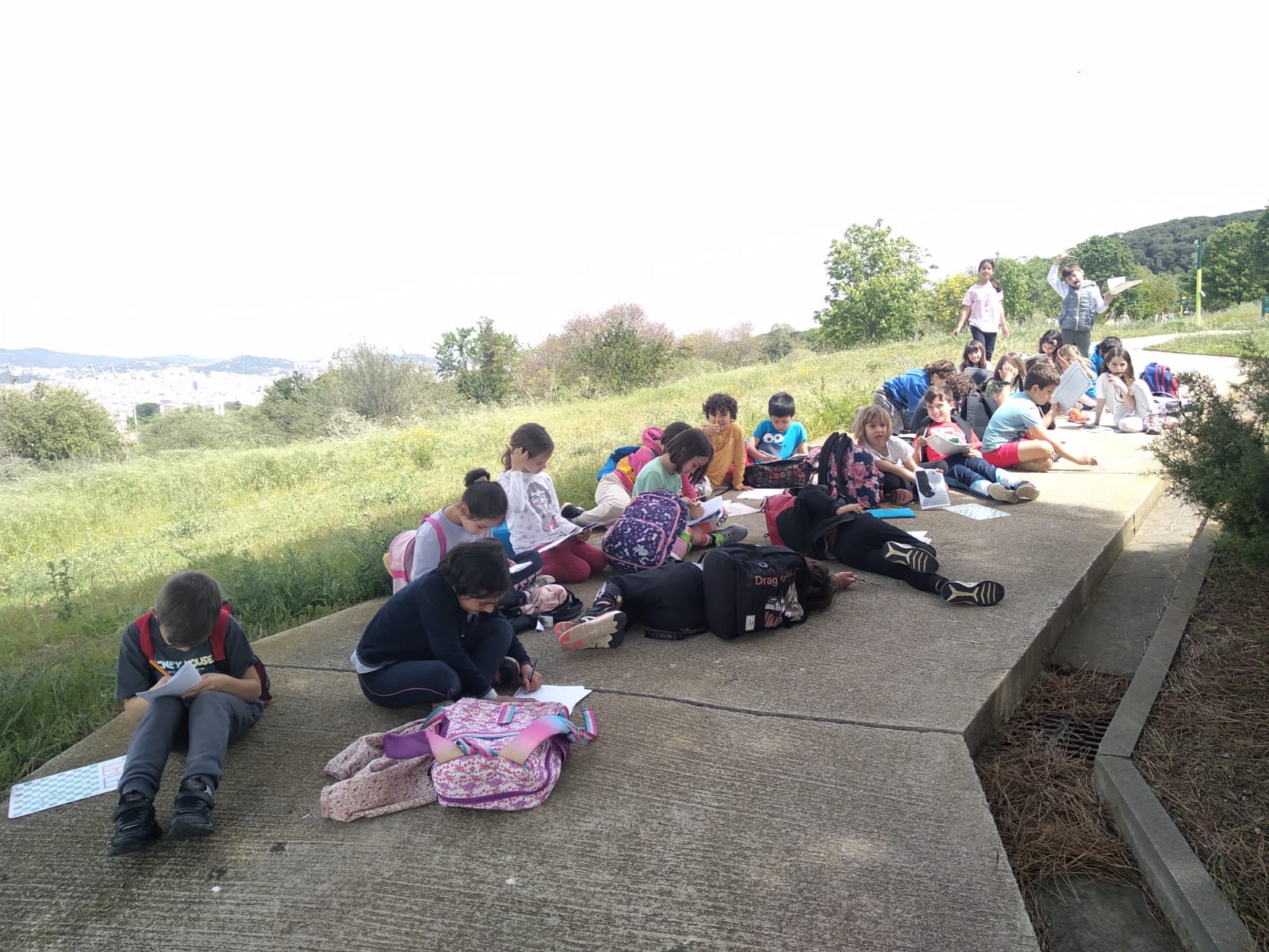 d1d2b0b6-17c4-4719-aa8c-9df38888e588