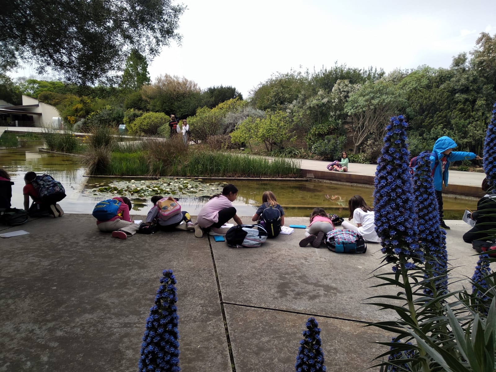 fc5a20df-898b-4690-895e-cc904343d927