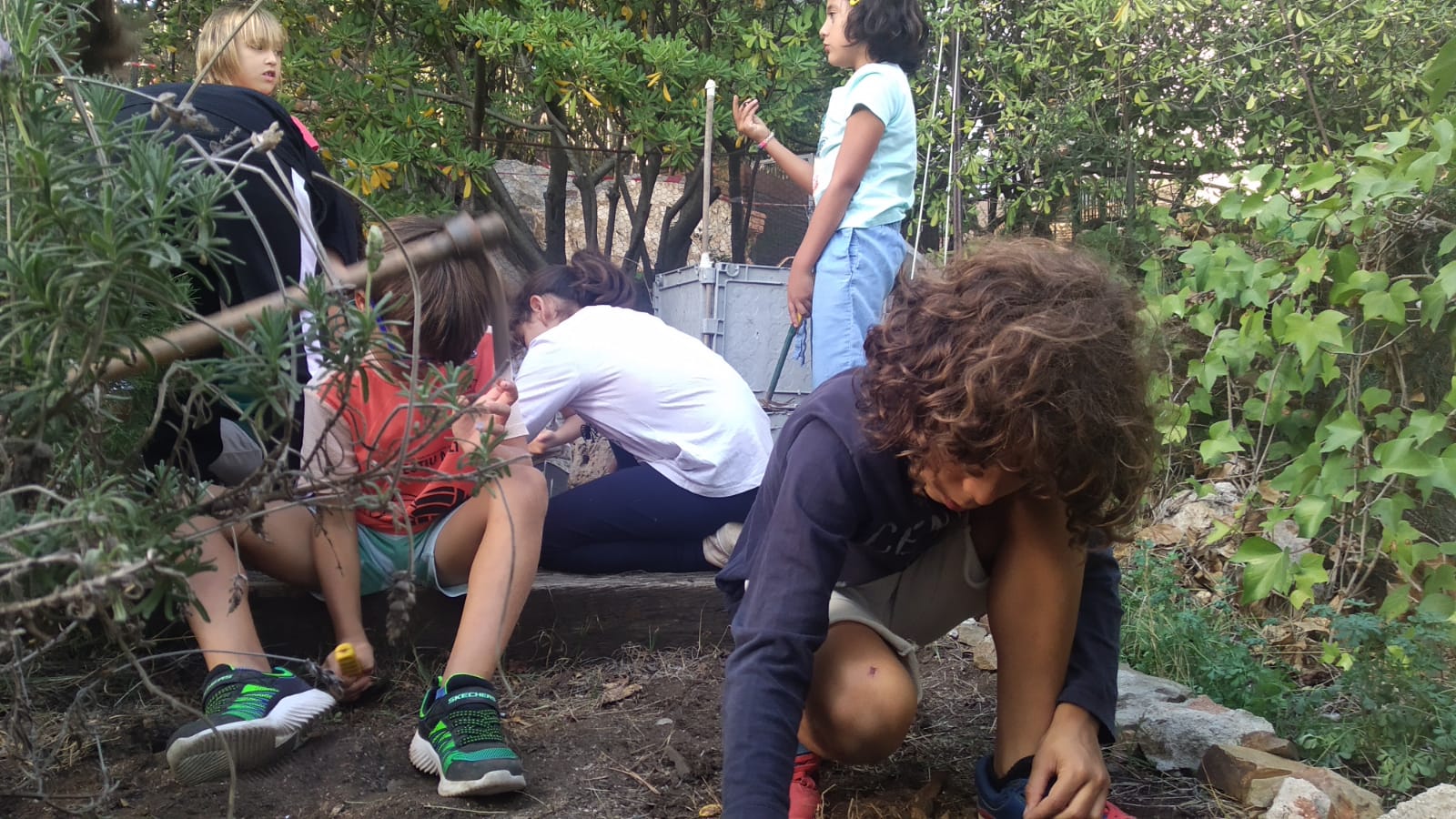 303d4760-f386-40d1-9124-bfe2e7817ed6