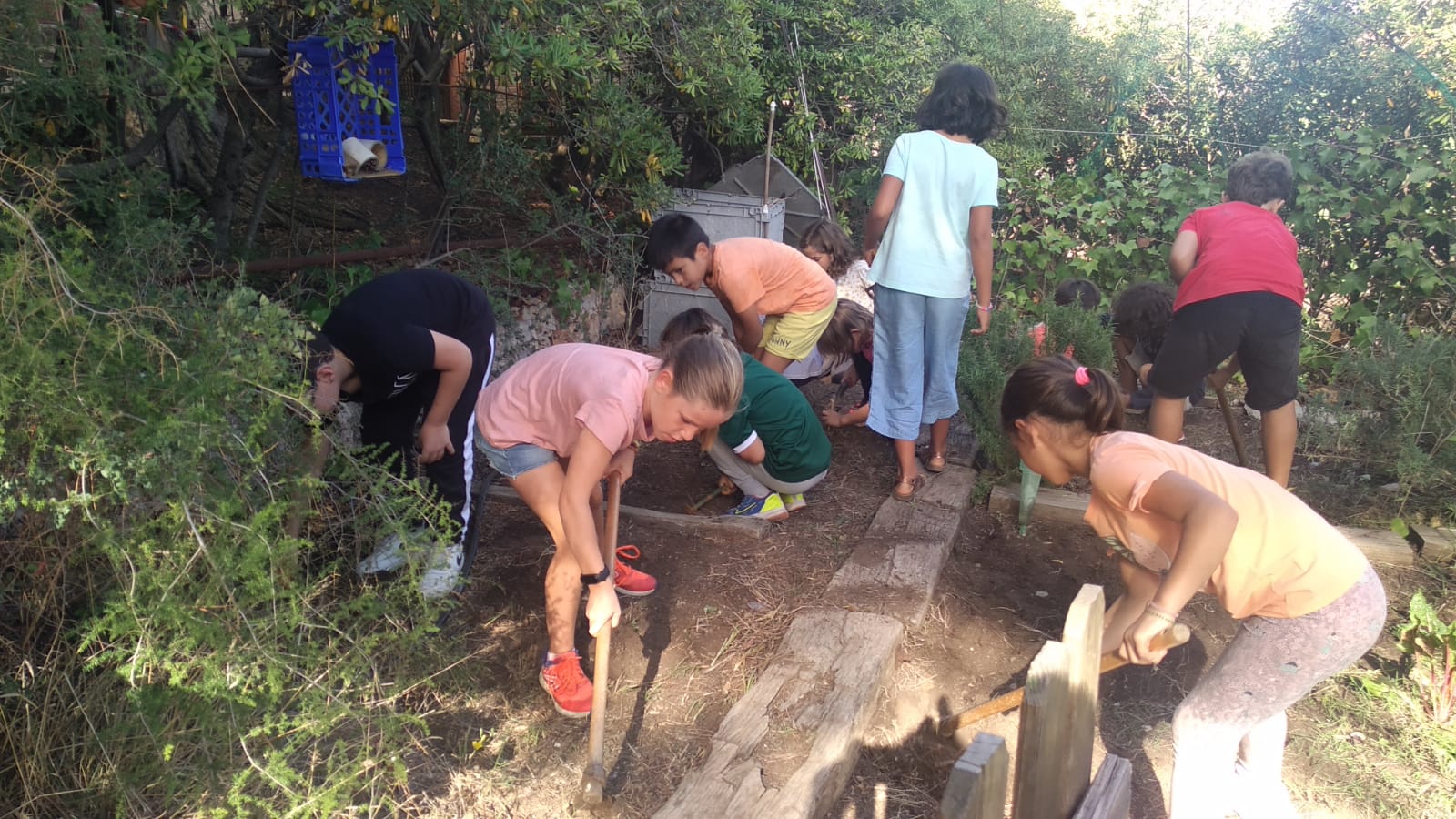 98024742-055f-4e3c-a892-88ebc4c4213c