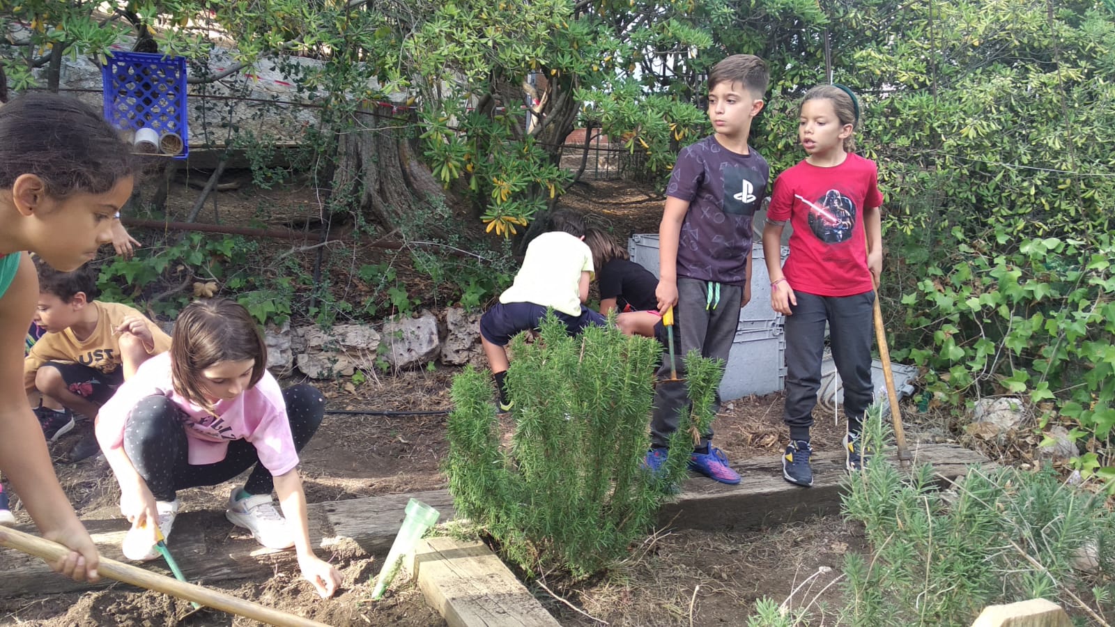 ae138297-c71a-435d-b599-9d3715eb295e