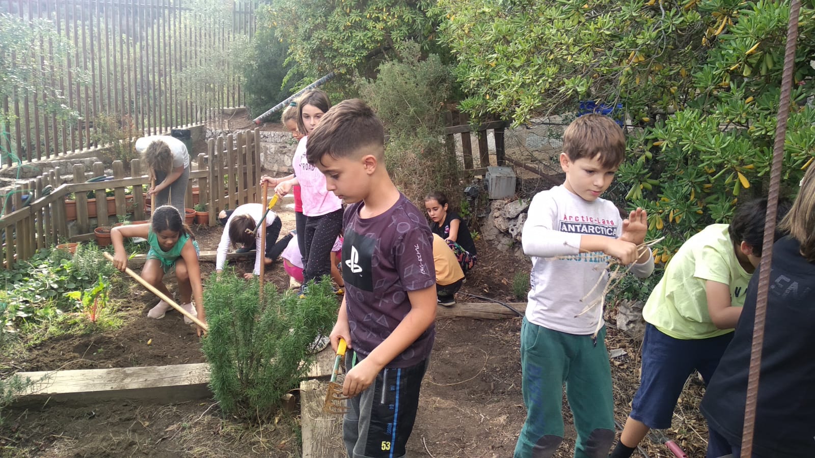 ea6a9914-2e05-43da-88fa-32f4acbc69ab