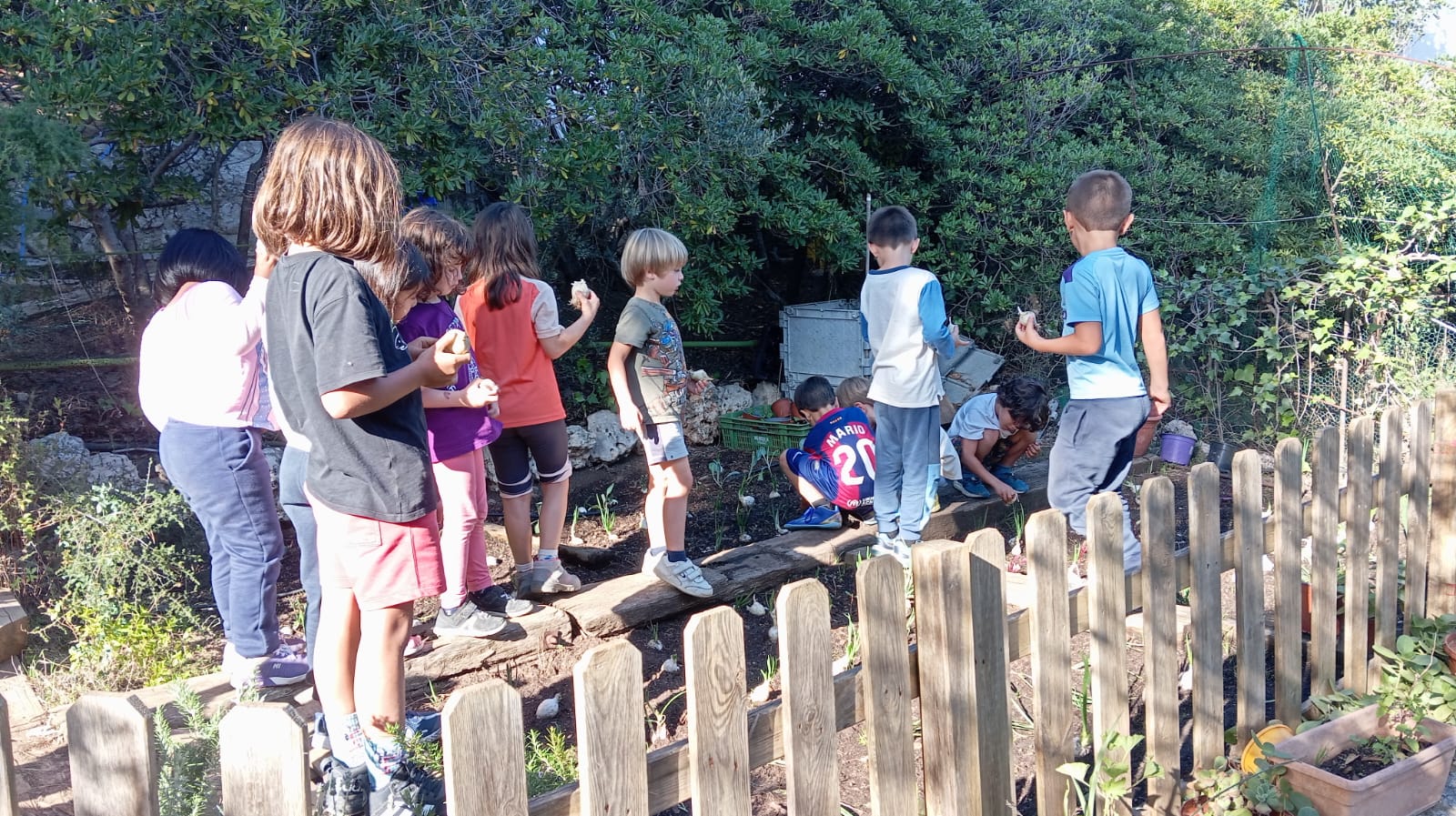 Copia de IMG-20241022-WA0034