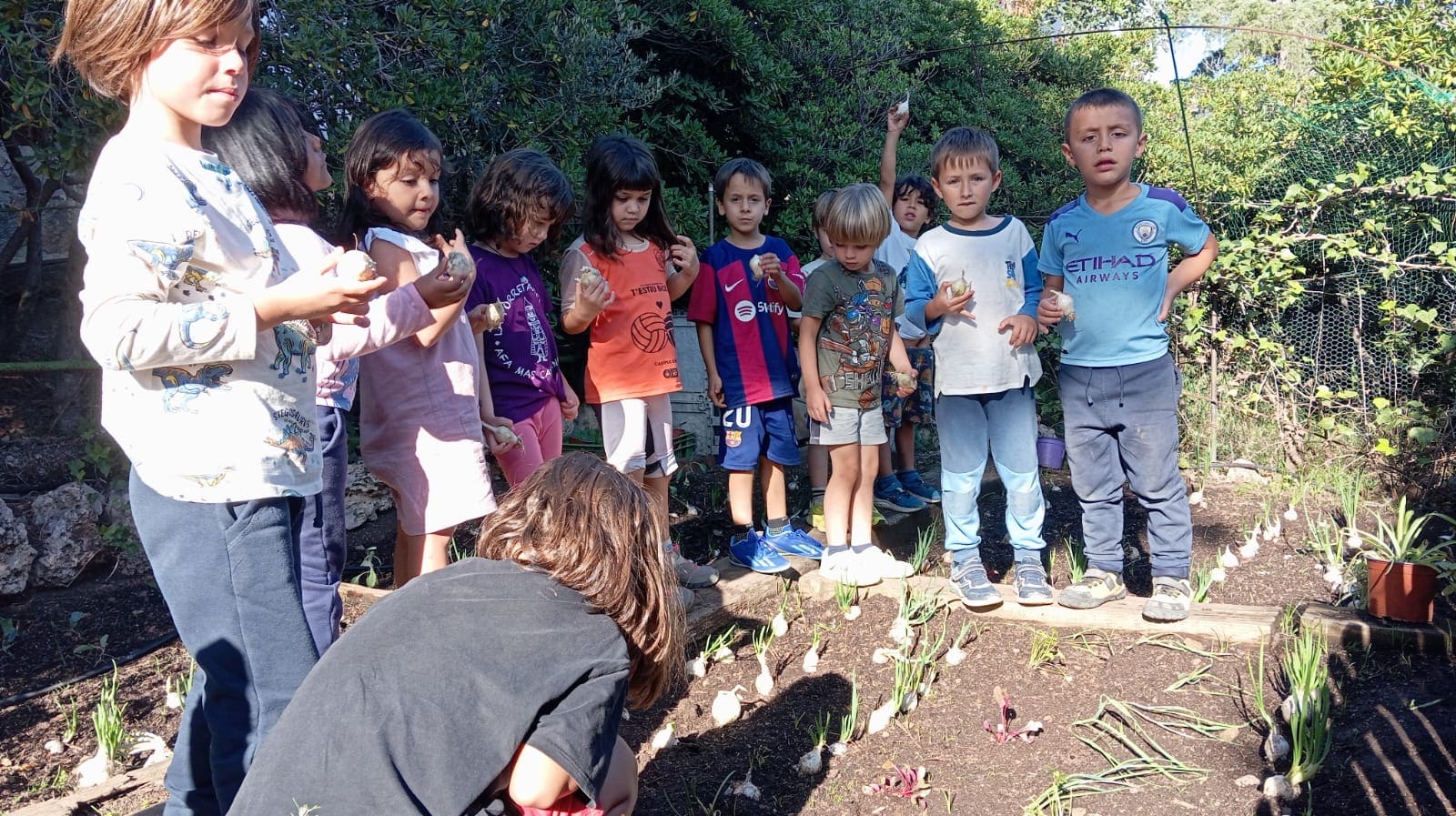 Copia de IMG-20241022-WA0035