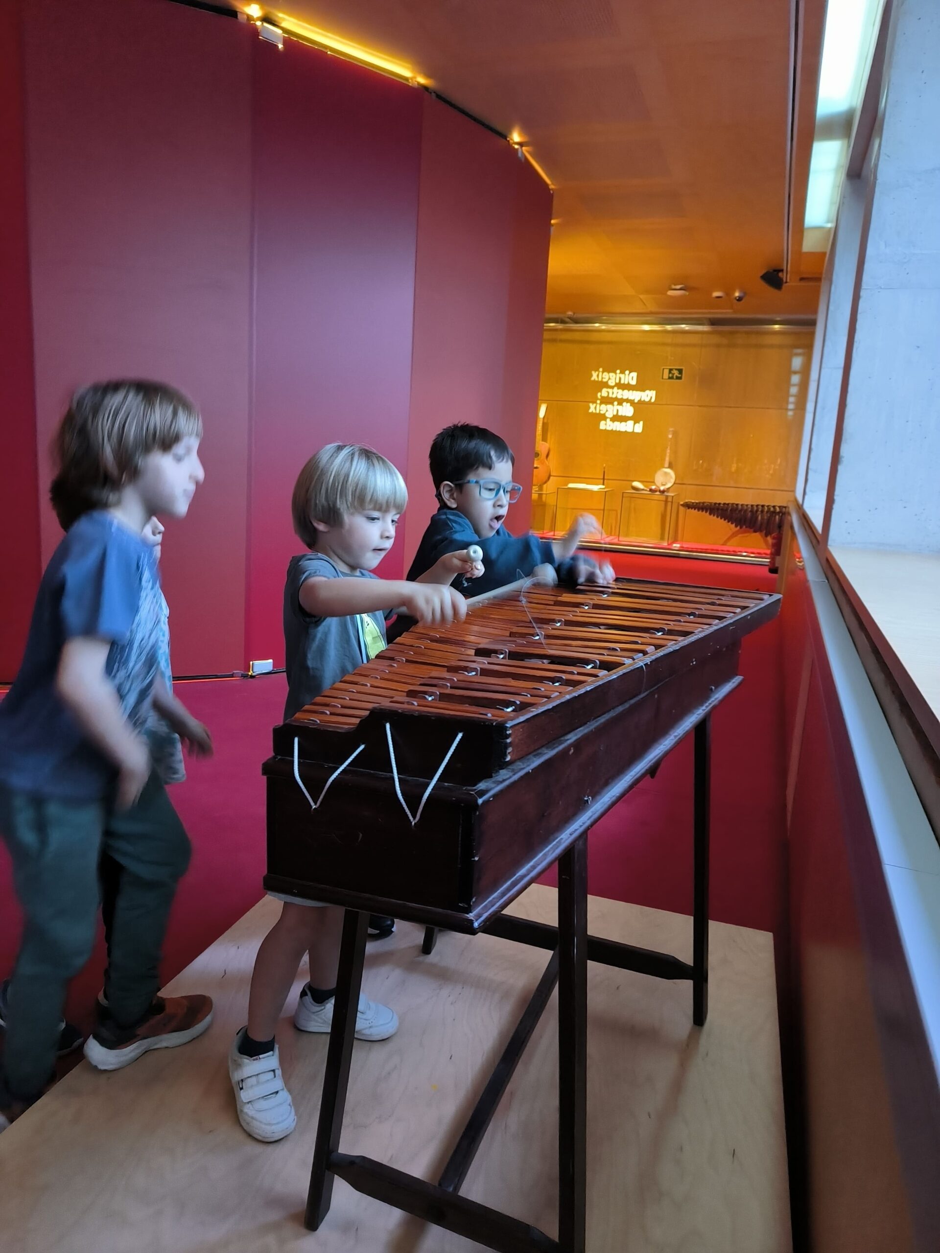 Copia de IMG_20241022_111610