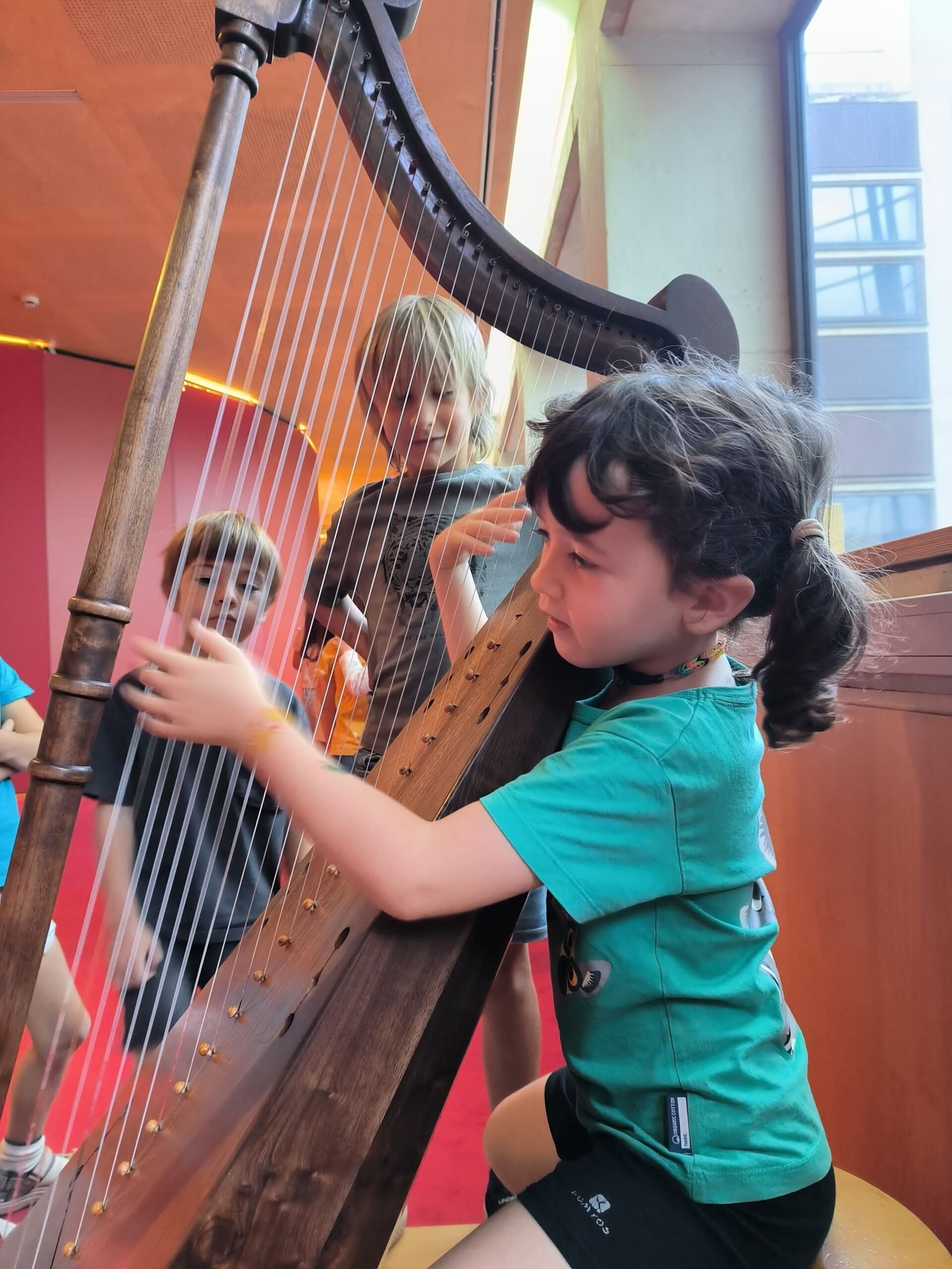 Copia de IMG_20241022_112137