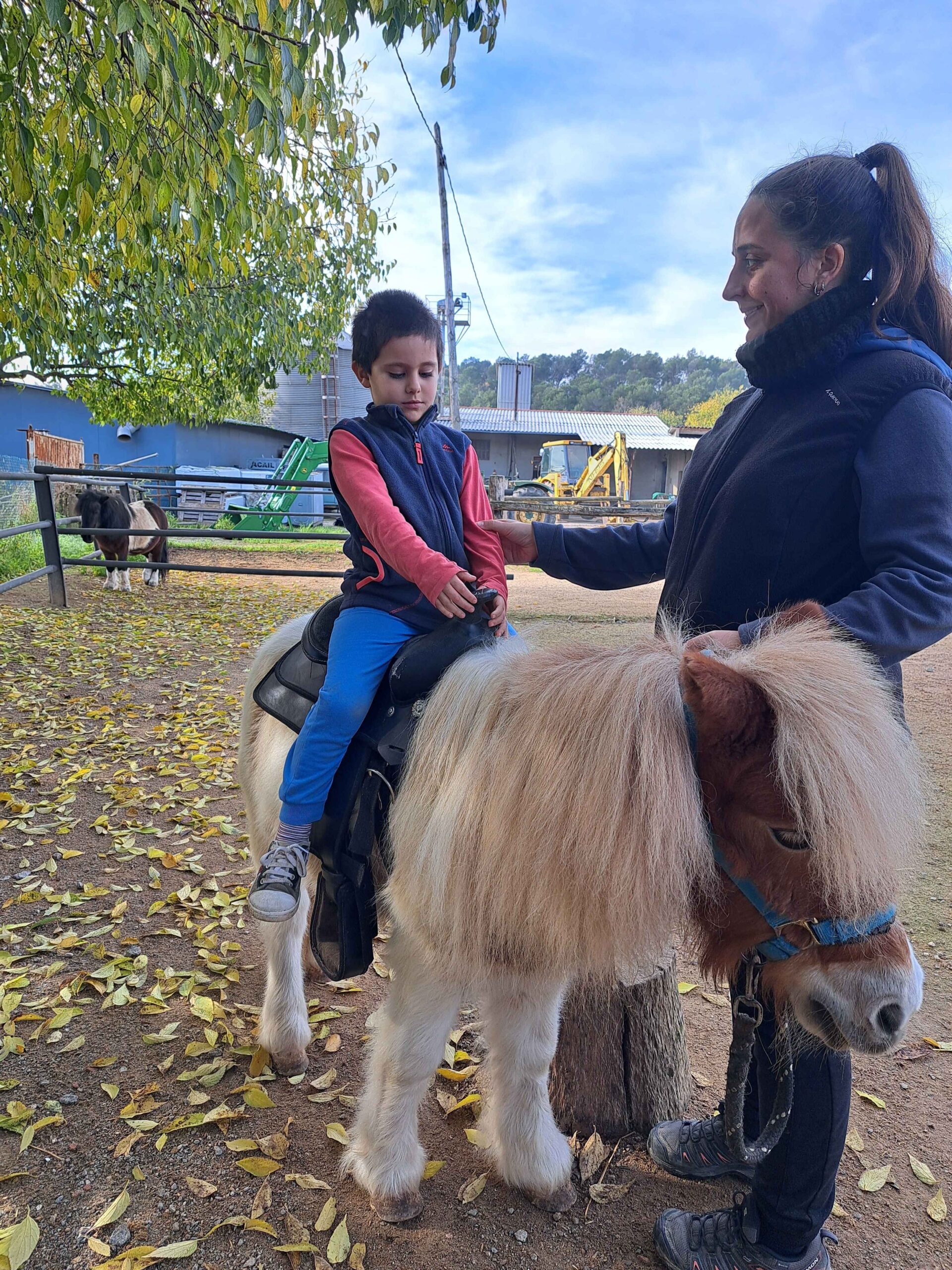 20241126_113707_11zon